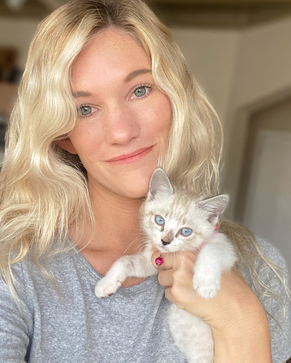 Cats and Kittens