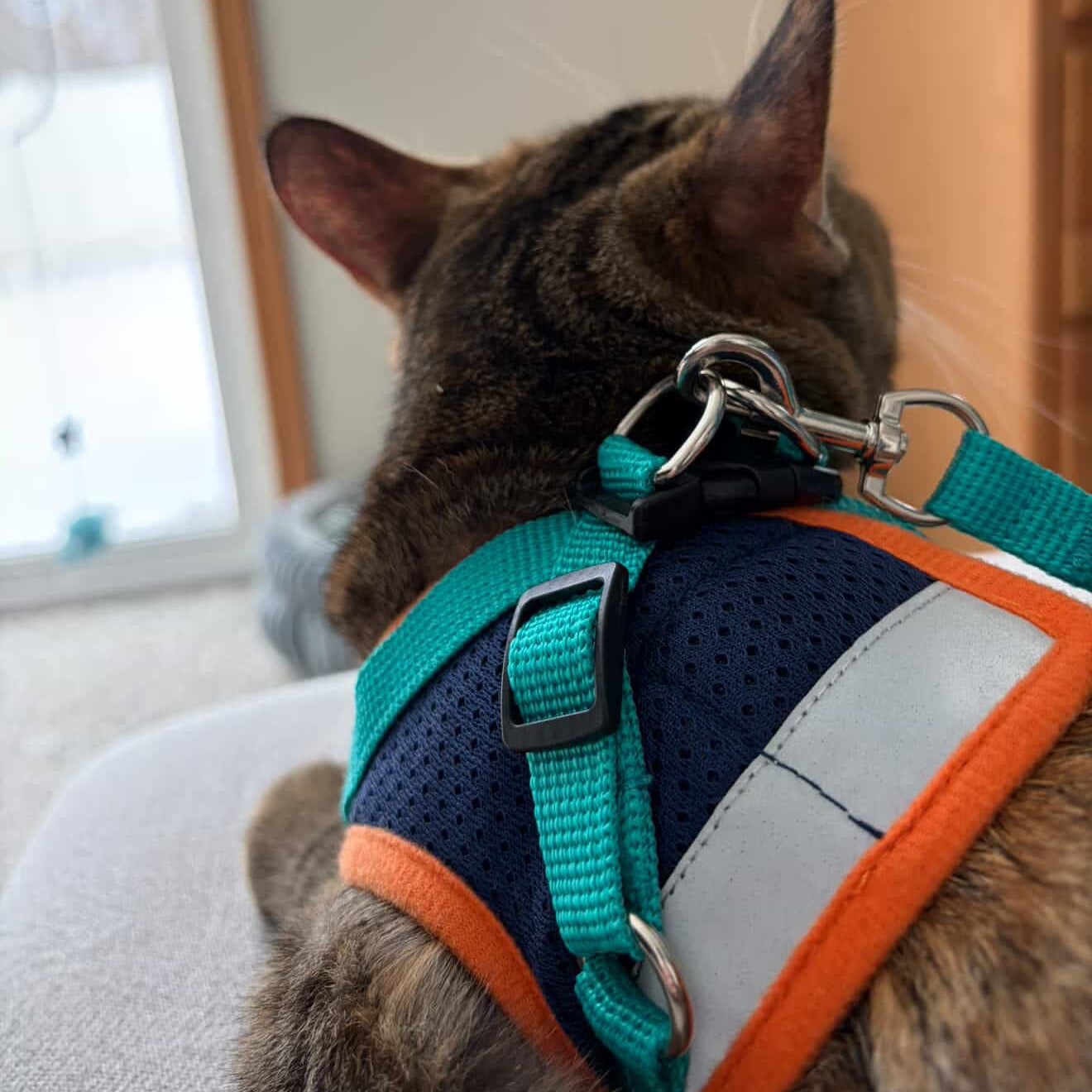 ACH strap details 