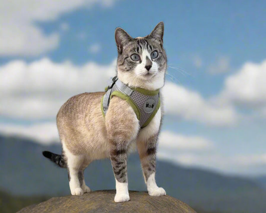 ACH by alwayschoosehappy 