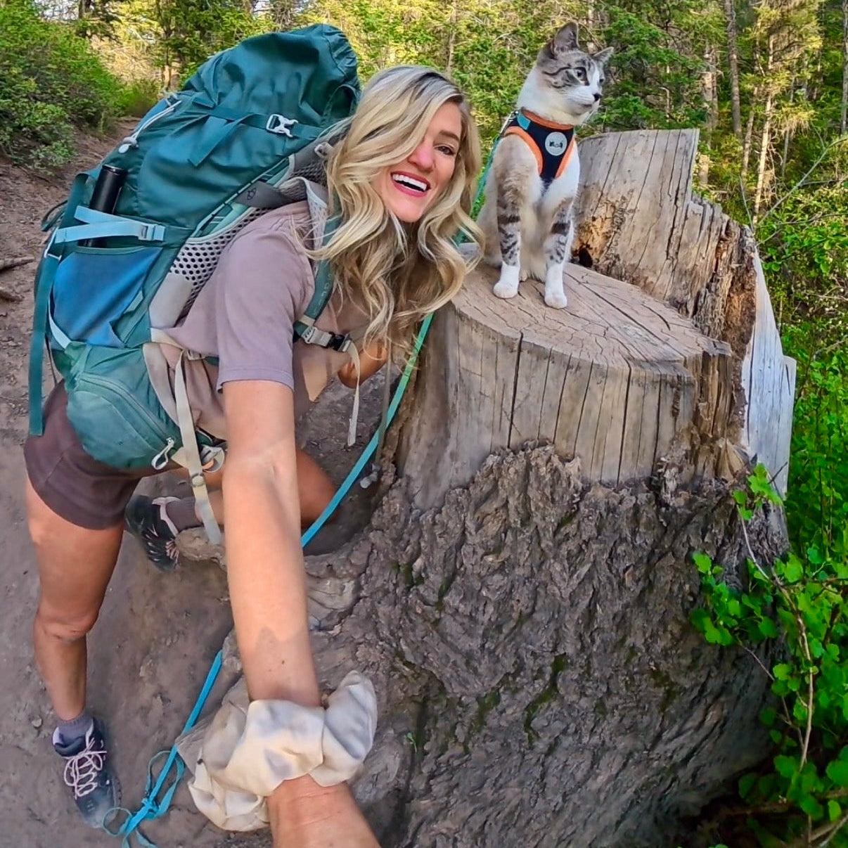 Woman hiking with a cat on a wooden stump in a forest