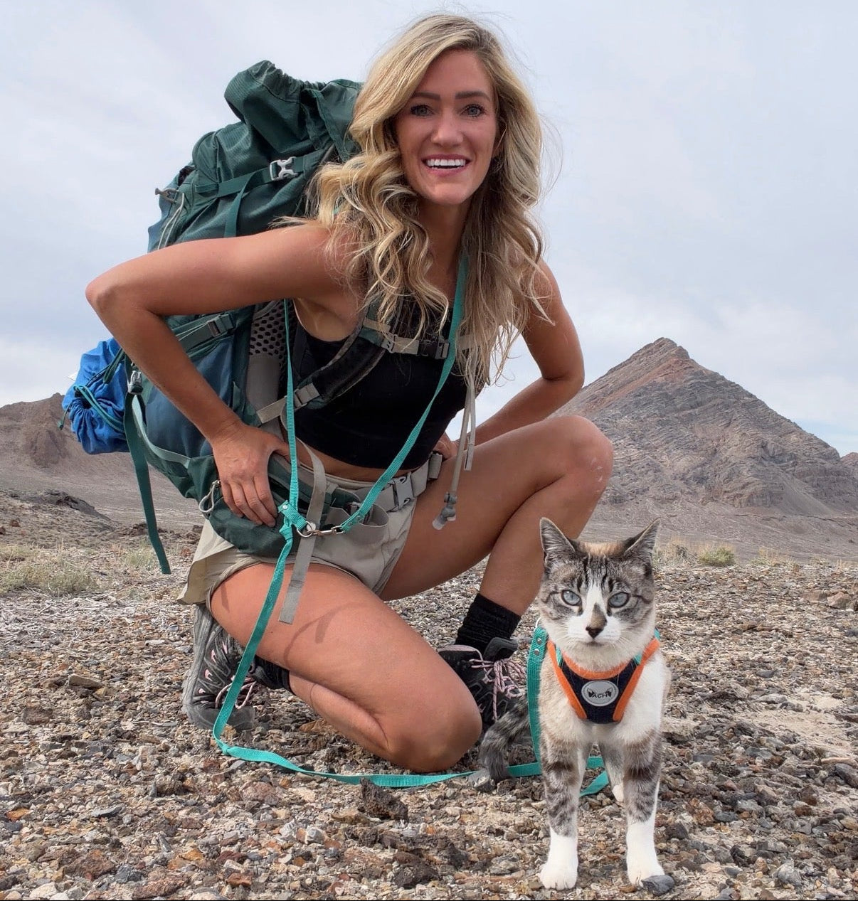 Woman with a backpack and a cat on a rocky landscape
