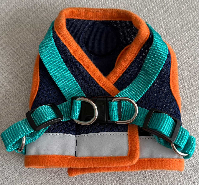 Adventure Cat Harness and Leash Set