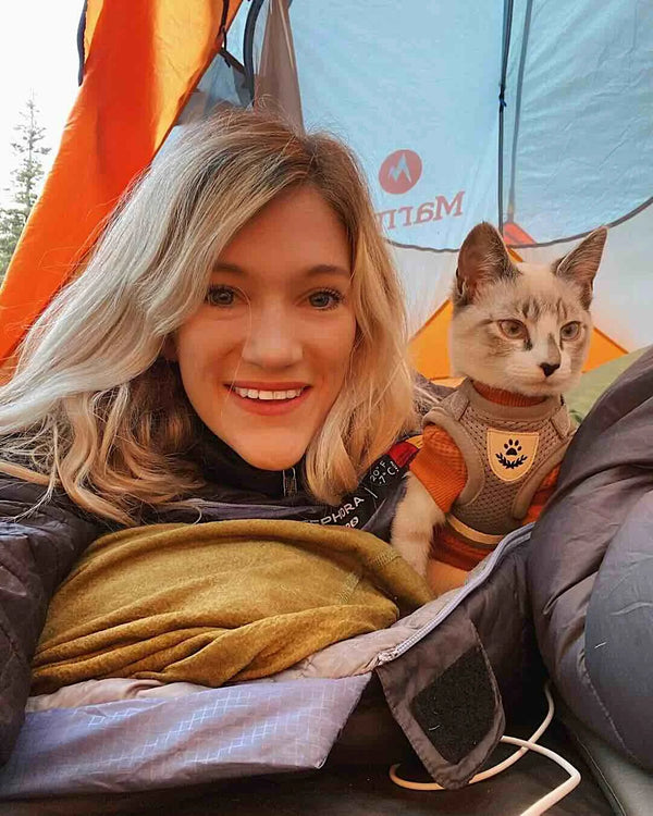 Cats.com