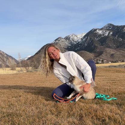 Adventure Cat Harness and Leash Set