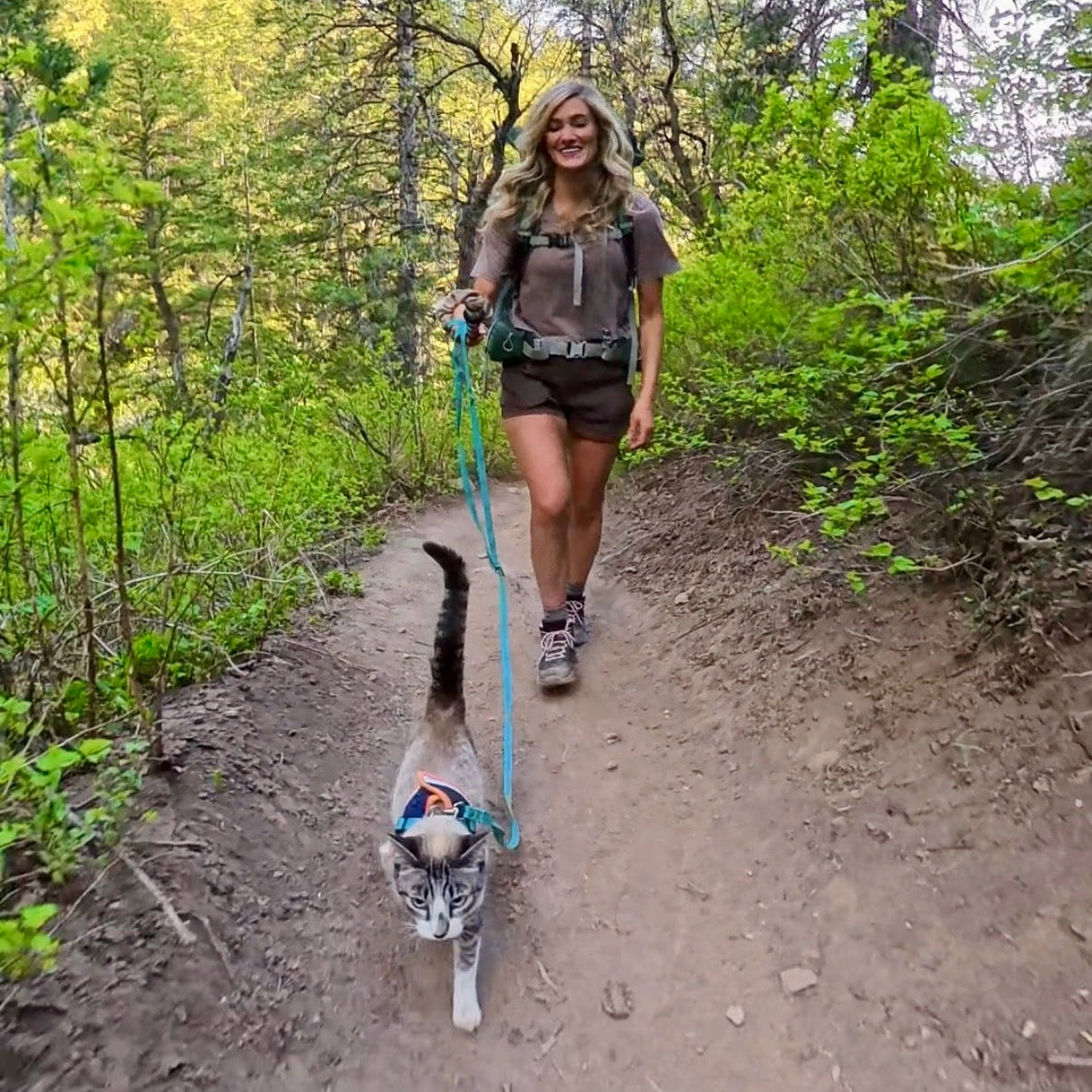 women walking cat with harness and leash 